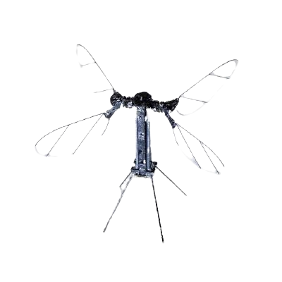 Navigation bar avatar